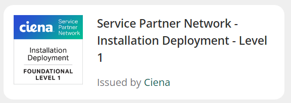 Screenshot 2024-06-19 150326 (1)