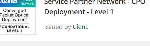 Screenshot 2024-06-20 090322